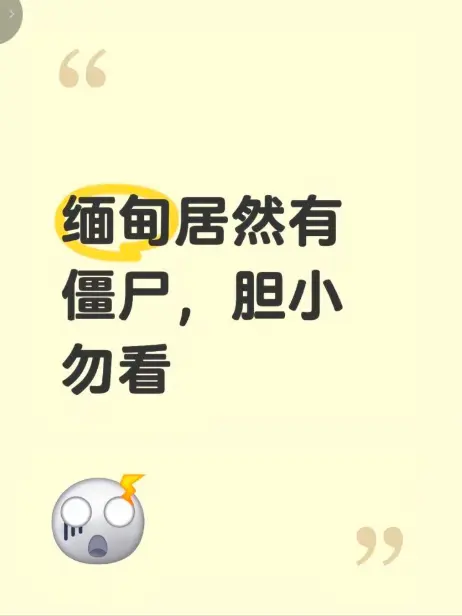 《缅甸僵尸出土事件》高清无删减免费播放-缅北神秘事件真相揭秘-最新完整版在线观看