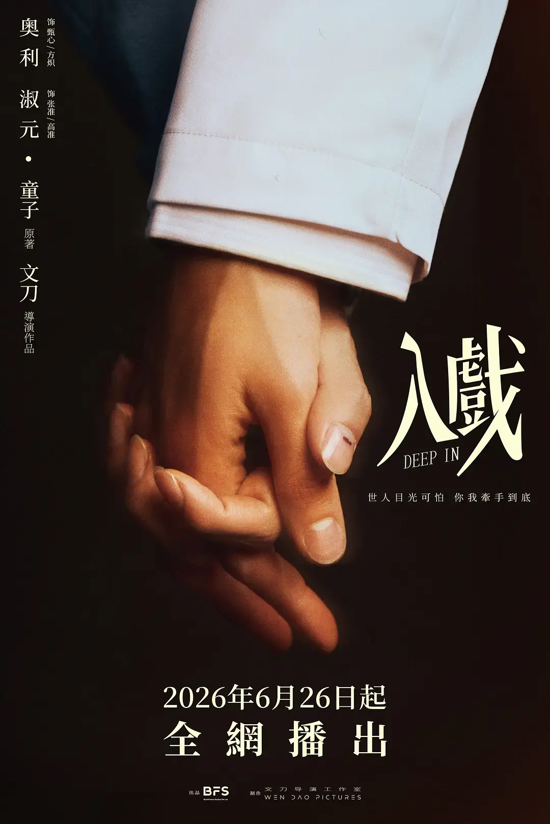 《入戏》2026双男主剧全集-高清1080P无删减在线播放-爱情剧《入戏》免费观看正片完整版