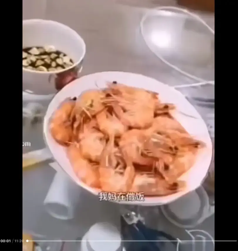 《大虾母子厨房完整版》高清视频资源-网盘免费下载-在线观看揭秘