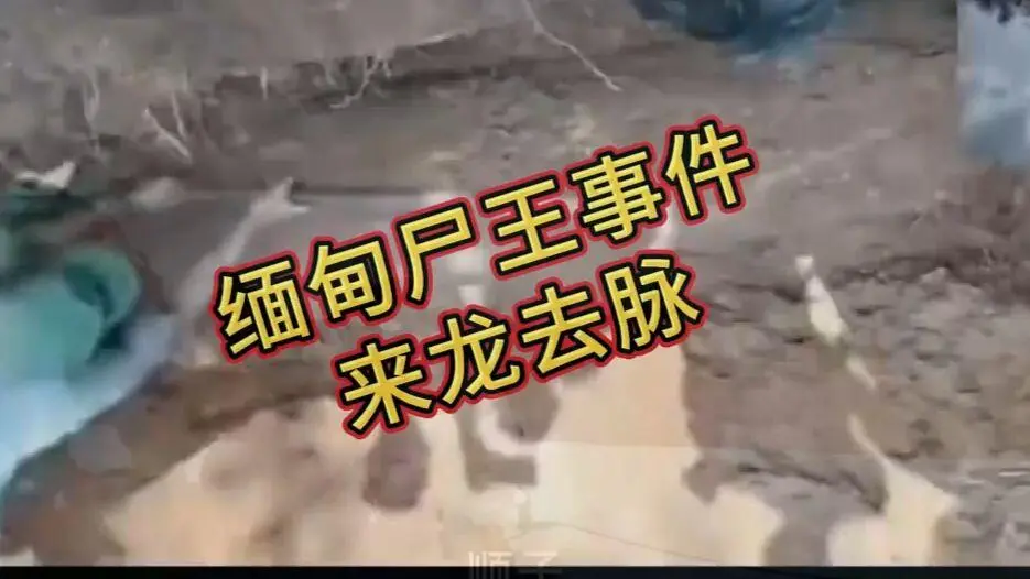 《缅甸僵尸出土事件视频》完整版资源在线观看免费播放 - 缅北僵尸出土事件始末原视频高清下载